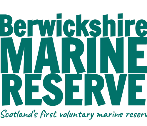Berwickshire Marine Reserve